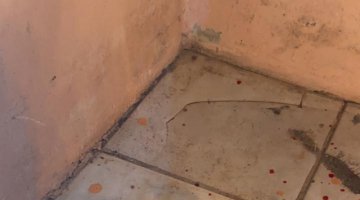 Amarra��o amorosa com corte de ave